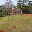 영민농장 이미지