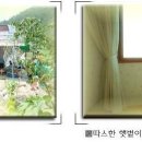 은하 민박 이미지