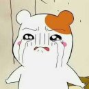 국민희망주식회사 | 嵐(아라시) 3/15 삿포로 공연 갑니다