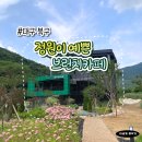 대구 북구 브런치카페 도덕 후기｜2살 아이와 가기 좋은 정원 카페, 도덕크림커피와 밤식빵 추천