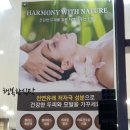 조은경헤어갤러리 네이버블로그