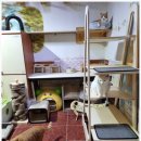 냥플레이스 이미지