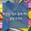 화장실 청소 꿀팁 이미지