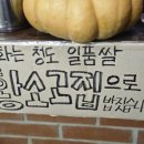 고향돌판생삼겹 | 대구 동성로 맛집 막창 미나리 같이 구워주는 개화막창 리뷰