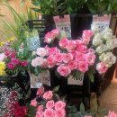 일직식당 이미지