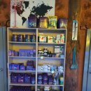 코통령 | 해수어키우기 수원수족관 코통령 방문후기 베리굿만족. 찰리스분양 받아왔어요.