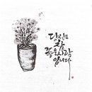 붓펜 캘리그라피 이미지