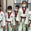 연세백호태권도장 이미지