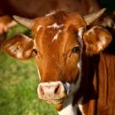 조성원예산지유통센터 이미지