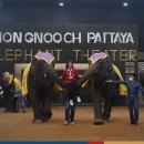 대박가든 이미지