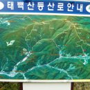 태백산가는길 이미지