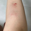 6.15 농장 | 6월 일상 모음 zip :: 초여름 맞지?