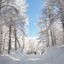 태기주유소 이미지