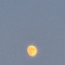 핑크 베이커리 이미지