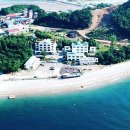 바위솔타운 이미지