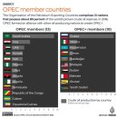 OPEC 감산 발표에 유가 급등 이미지
