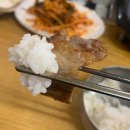 원조응암똥돼지 이미지