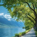 센텀부동산중개 이미지