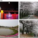 호수공원아이파크 앞 이미지