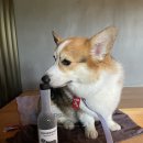 위드어스 와이너리 이미지