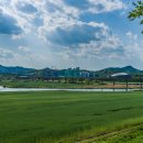 동강둔치 이미지