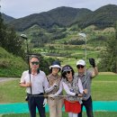 골프스토리 이미지