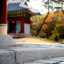 파주삼릉 이미지