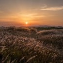 한신세탁 이미지