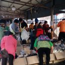 더드림마켓 이미지