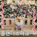 플랜더스 | [시흥 플랜더스파크] 운동장이 있는 애견카페 플랜더스파크 방문후기