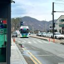 가평남이섬 블리스 풀빌라 펜션 | 가평 남이섬펜션 ‘남이섬 빈체로 풀빌라’ 솔직 후기🔥 개별 온수풀+바베큐, 남이섬 여행까지 완벽🫶