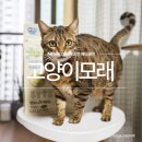 에이케이사이언스 | AK사이언스 베타클린 고양이두부모래