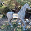 감천산림공원 이미지