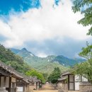 대야산자연휴양림 이미지