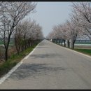 용산천변길 이미지