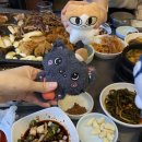 해돈지