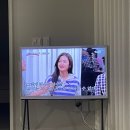 8개월 아기와 제주 한달살기 Day18 (한라산 소주투어, 제주시민속오일장)