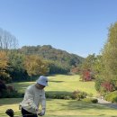 담양레이나CC 이미지