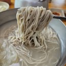 전*순 - 미추홀구 경인로 67 | ​홍천 장원막국수 본점 100% 순메밀면과 수육 녹두전 솔직후기