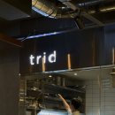 트리드 이미지