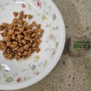 퍼피즈 | 광고 X PPZ 퍼피즈 [강형욱 큐브 화식] '10개월 급여 후기' (버라이어티팩,알러지반응,기호성,솔직후기)