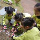 사상근린공원 이미지