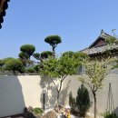 경주 한옥 별하 이미지