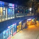 사반니