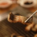 대머리장어 이미지