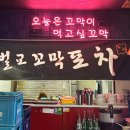 벌교꼬막포차 | 수육부터 꼬막까지 파주 금촌 로터리 맛집 벌교꼬막포차 모야포차