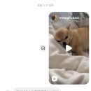 동연정비 | [11월] 그냥 안다