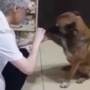 청산동물병원 이미지