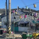 교동시장 | 강화도 교동 대룡시장 당일치기 코스 먹거리·분위기 후기