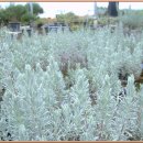 부귀농장 이미지